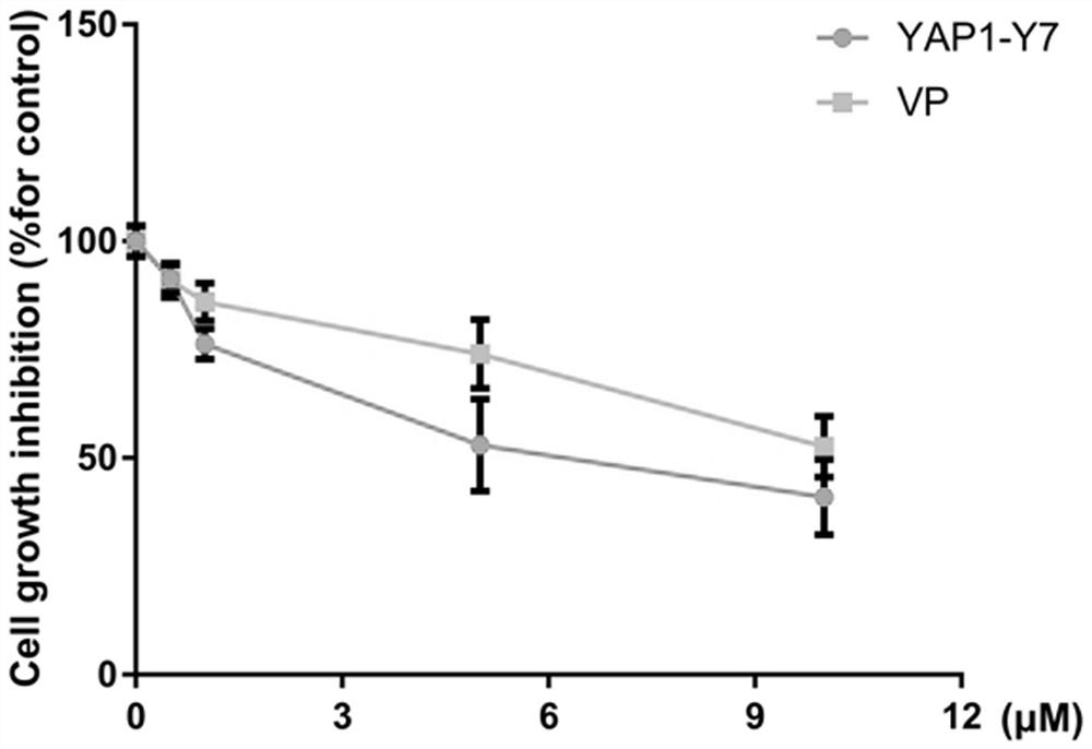 Small-molecule inhibitor YAP1-Y7 for YAP1, and application thereof