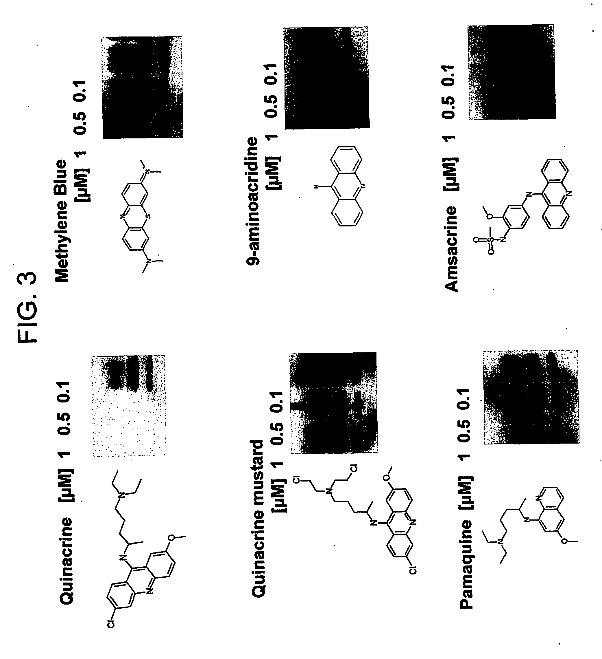 Optically active compounds clearing malformed proteins