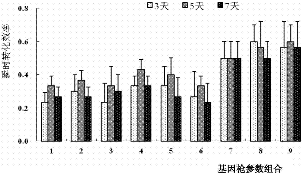 Method for gene gun-mediated genetic transformation of moso bamboos