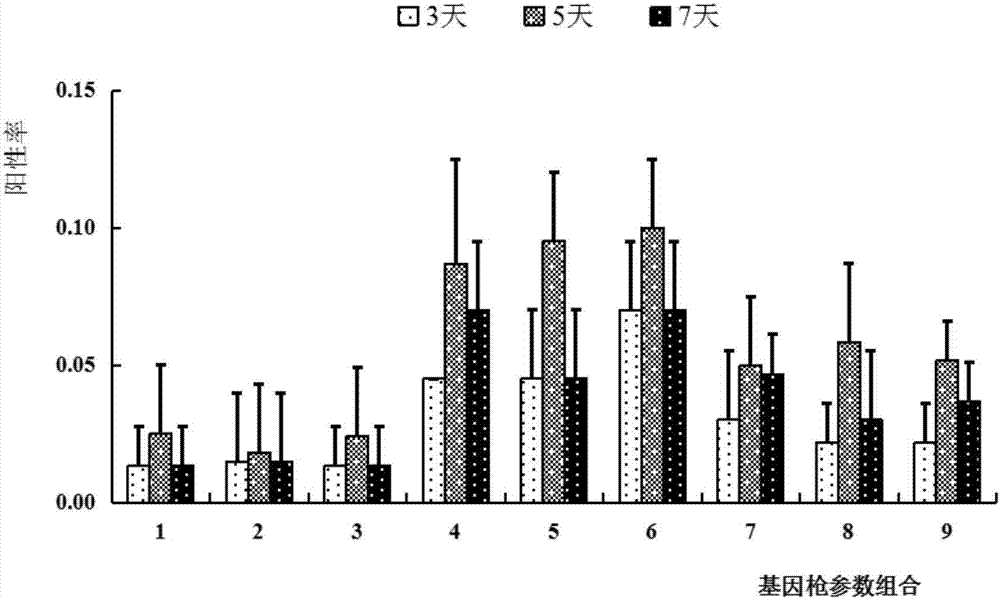 Method for gene gun-mediated genetic transformation of moso bamboos