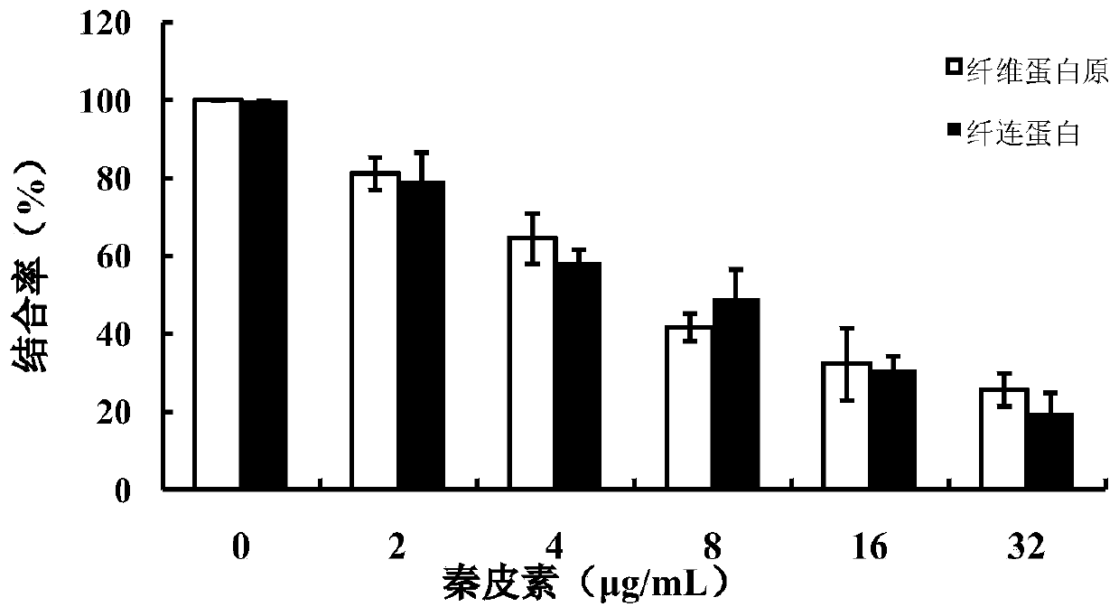 Application of fraxetin in anti streptococcus agalactiae infection of aquatic animals