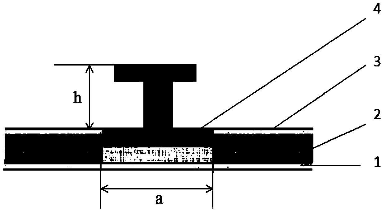 A rail transit vehicle body skirt structure and its forming method