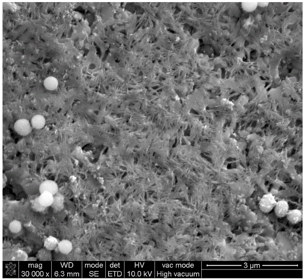 Bioglass-sodium alginate composite biomaterial, kit and application