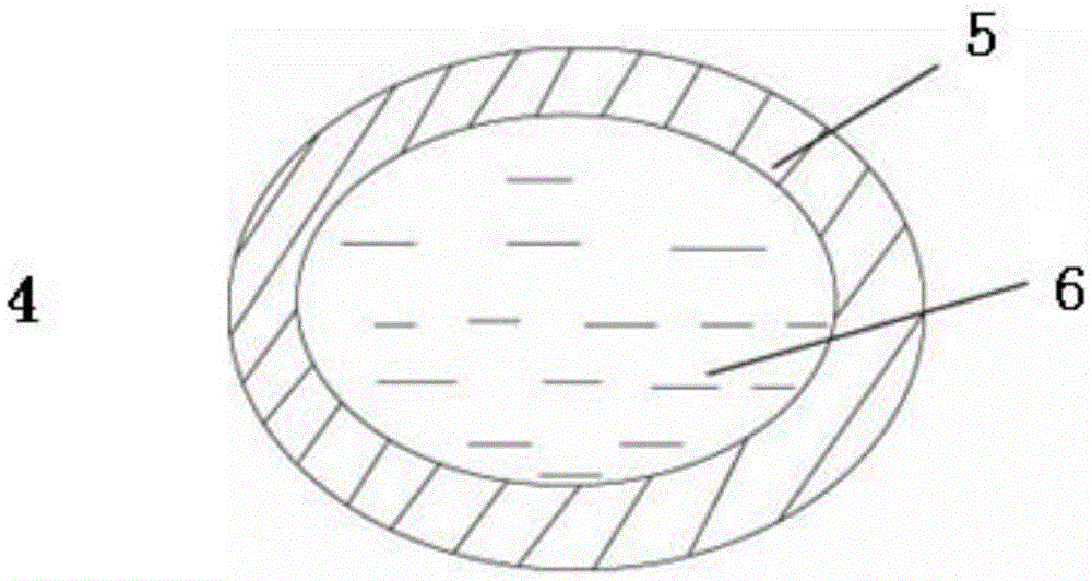 Ozonide oil blasting bead and use method and dressing plaster