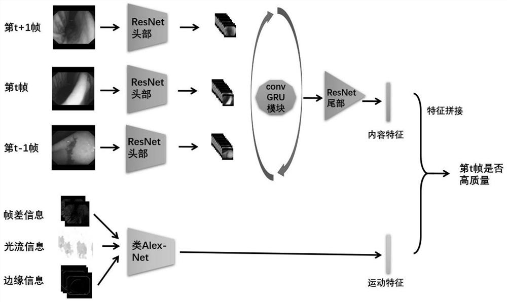 Esophageal endoscope video frame sequence quality classification algorithm using space-time information of adjacent frames