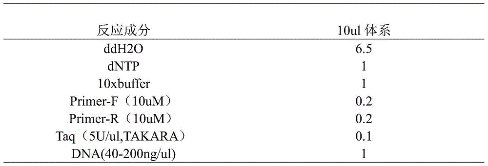 SPN locus in linkage with round or flat character of peach fruit shape, molecular marker based on locus and application thereof