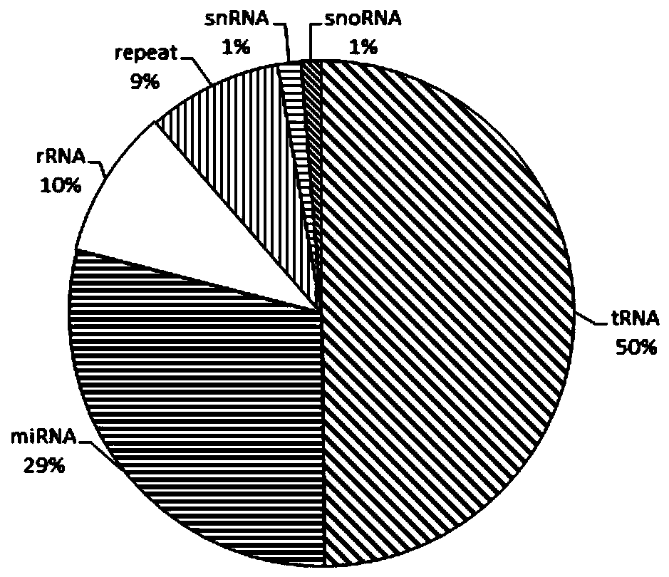 A method for screening the role of microRNAs in the adaptation of brown planthopper to rice resistance