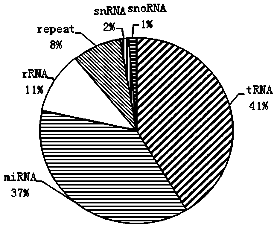 A method for screening the role of microRNAs in the adaptation of brown planthopper to rice resistance