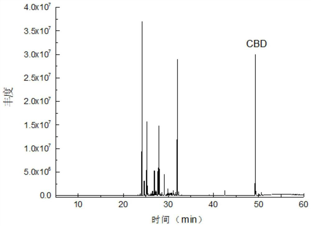 Extraction method for improving content of cannabidiol in China-hemp essential oil