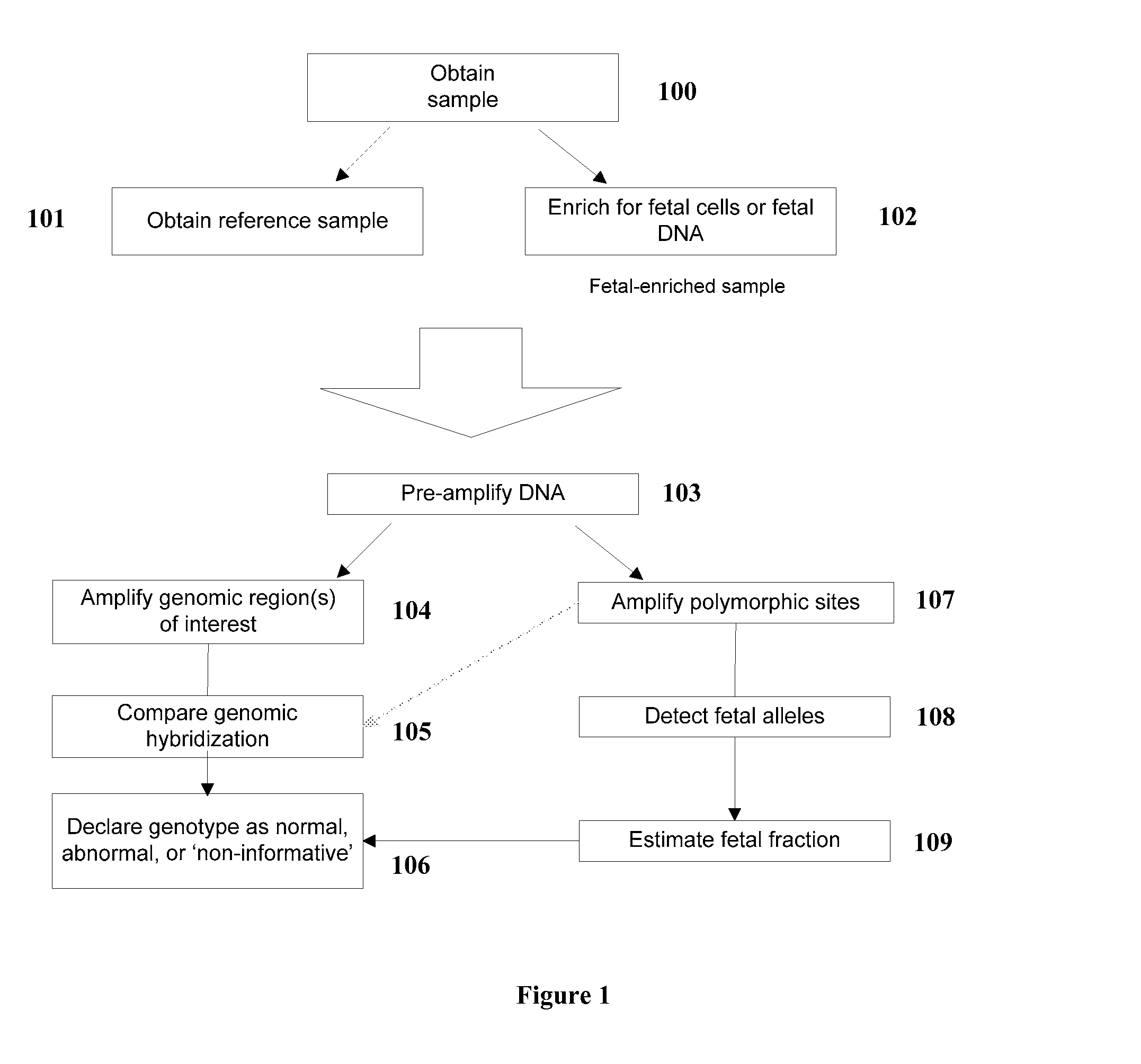 Diagnosis of Fetal Abnormalities by Comparative Genomic Hybridization Analysis