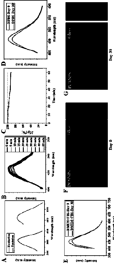 Photoluminescent citric acid based nanoparticles and application and method for living cell marking