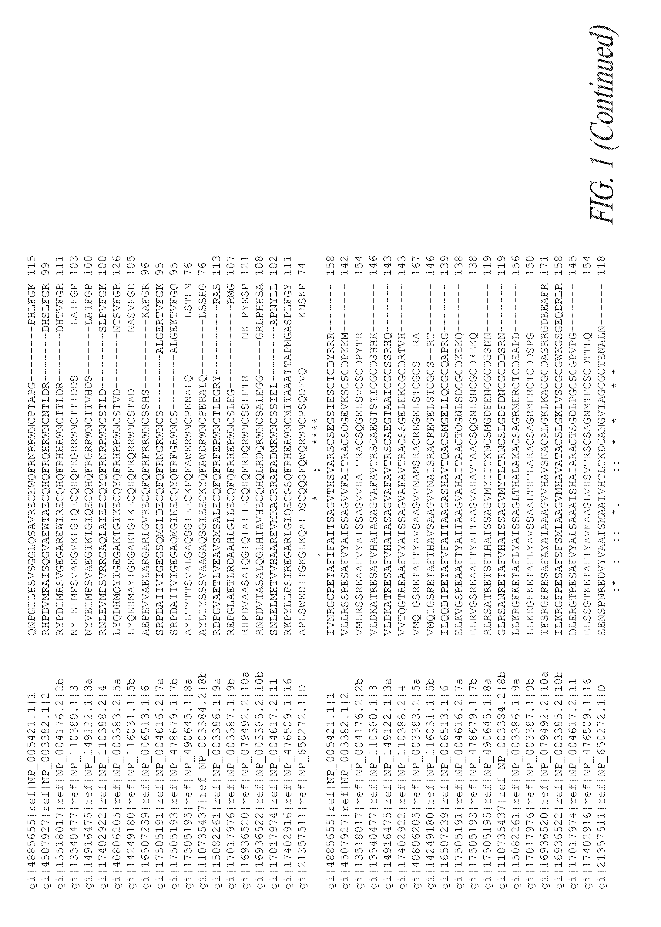 Wnt compositions and therapeutic uses of such compositions