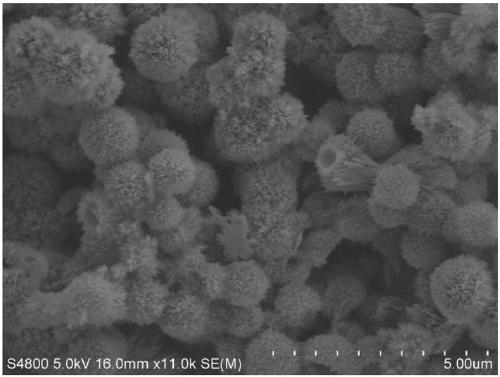 Nickel oxide/copper oxide composite nanomaterial with hollow sphere structure and preparation method of nickel oxide/copper oxide composite nanomaterial