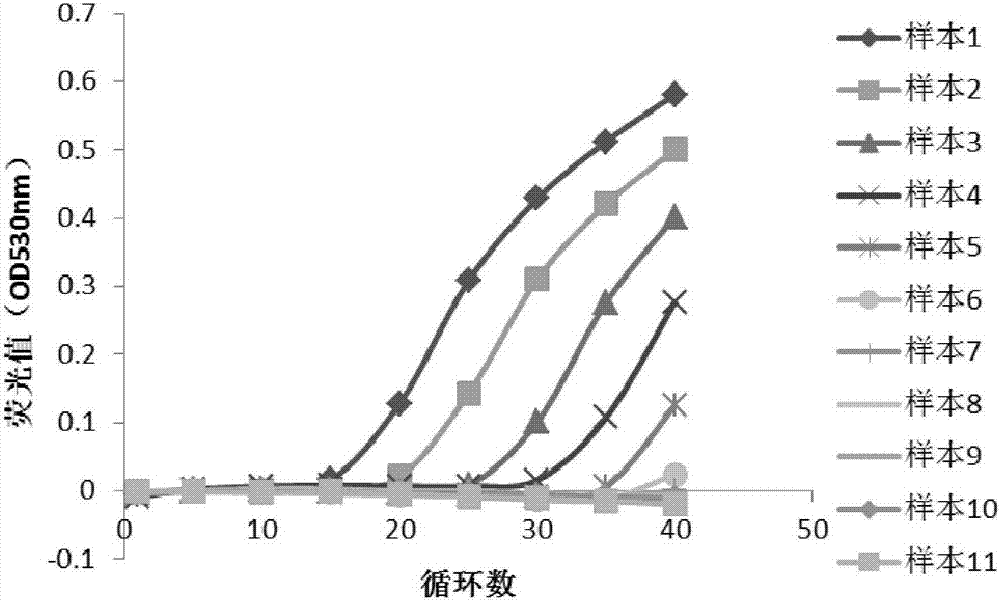 Primer pairs, primer-probe compositions and their applications for identifying human adenovirus type 55