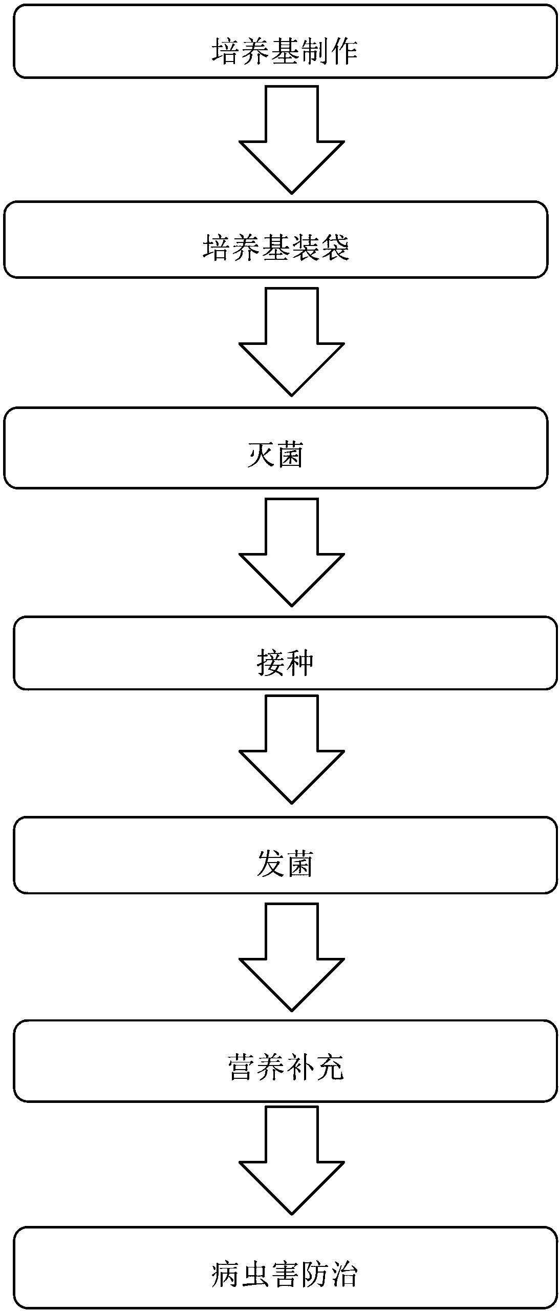 Efficient production method of Pleurotus ostreatus edible fungi