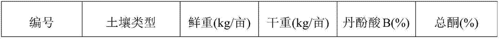 Cultivation method of salviae miltiorrhizae for feeding