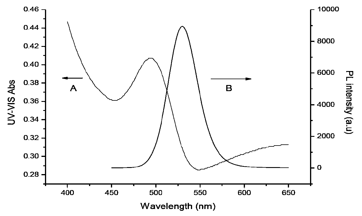 Quantum-dot-based method for carrying out in-situ and real-time detection on heavy metal ions in cells