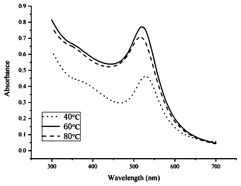 AuNPs/miR-140 compound as well as preparation method and application thereof