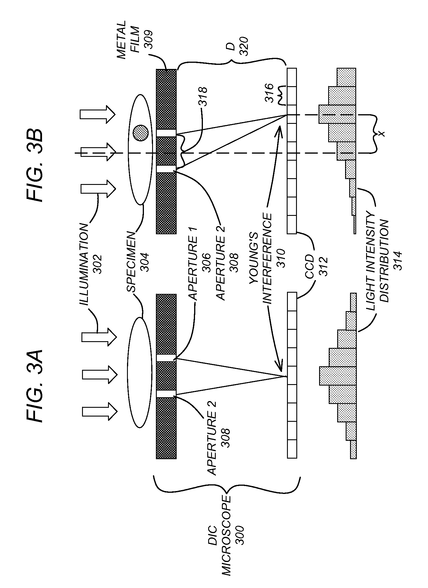 On-chip phase microscope/beam profiler based on differential interference contrast and/or surface plasmon assisted interference