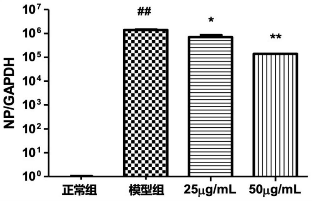 Application of Luofushan Baicao oil in preparation of medicine for preventing or treating respiratory system infectious diseases