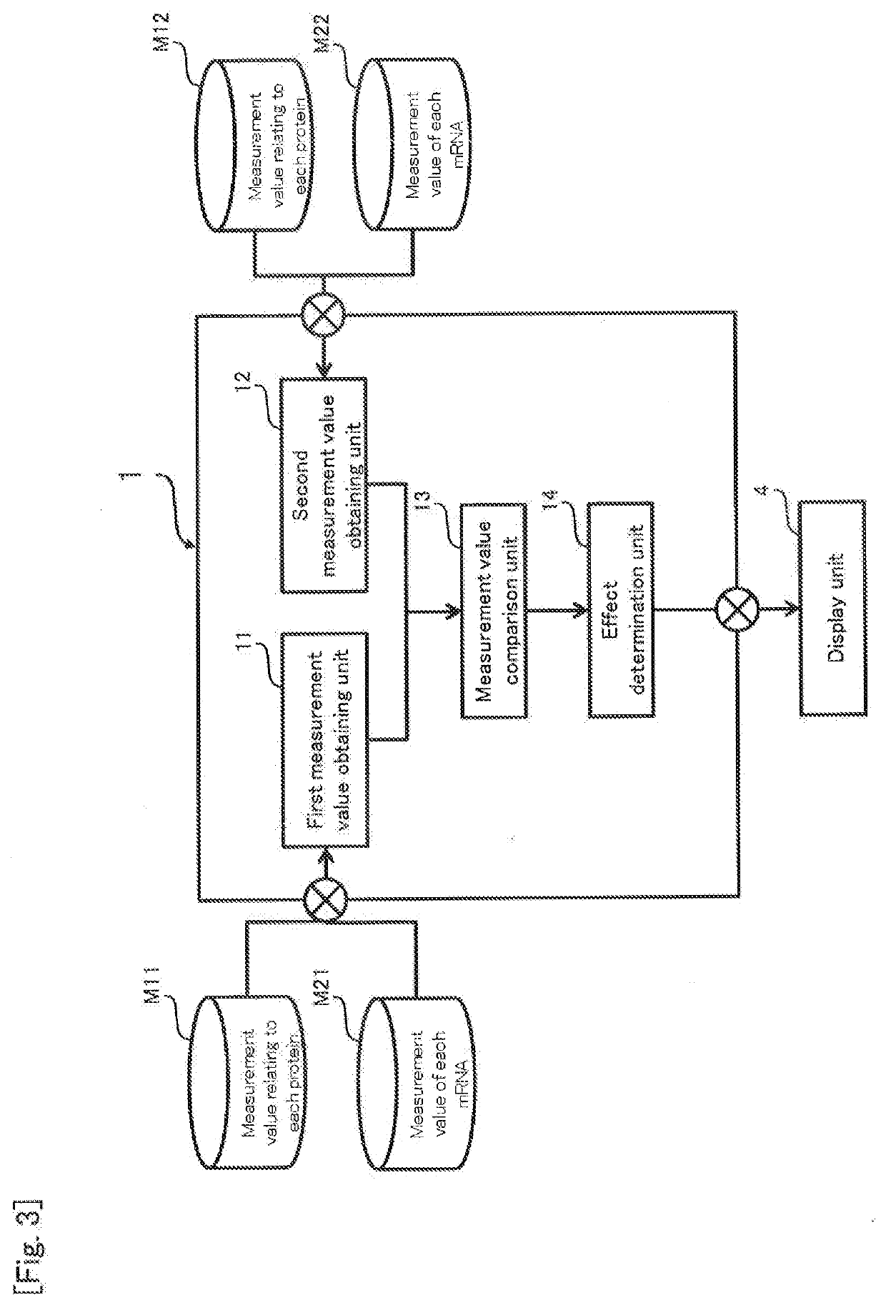 Pharmaceutical composition or food composition, and method for assessing effect of active ingredient in vivo