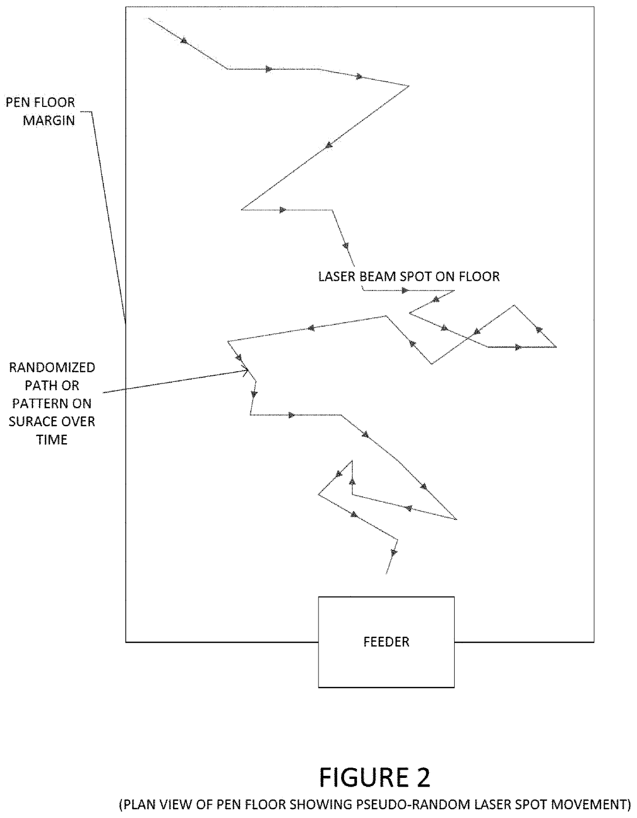 Laser enrichment device, system, and method for poultry