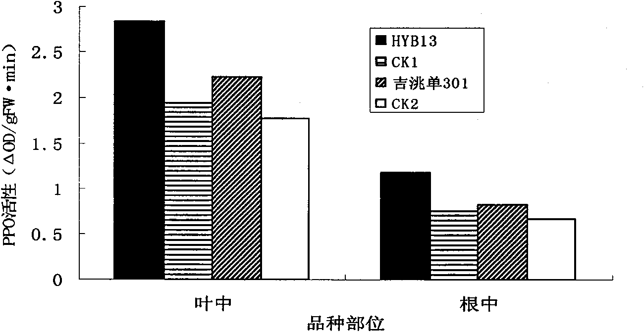 Beet stress-resistant yield and sugar increasing series composite growth regulator and systematic chemical regulation method