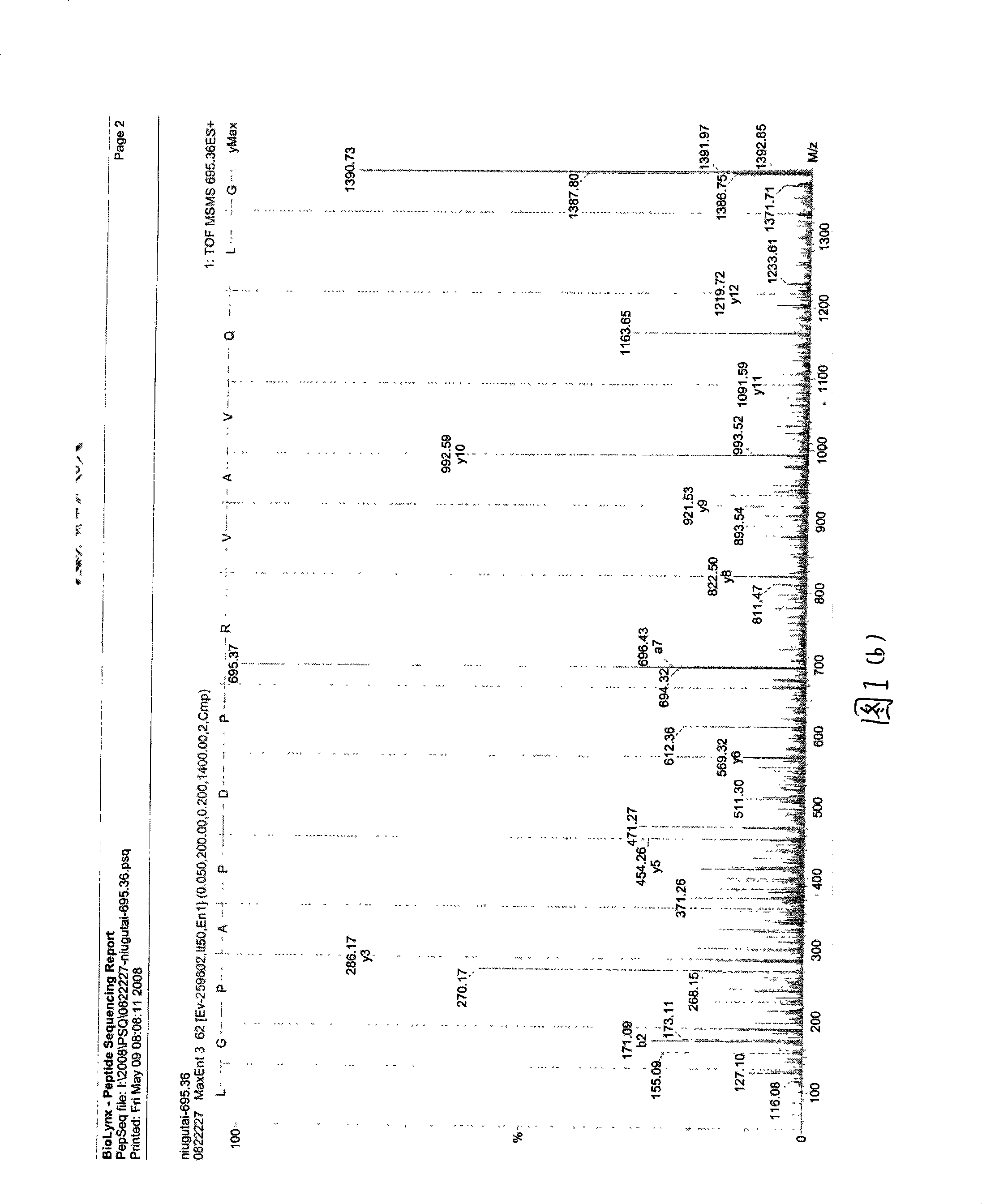 Yak bone peptide and preparation method thereof