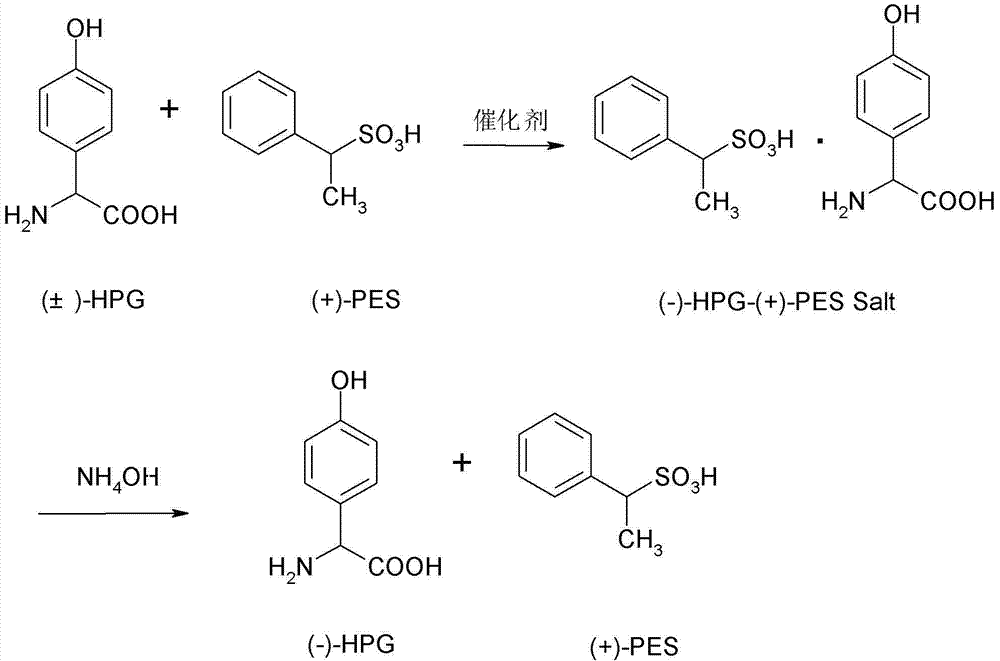 Splitting process of racemic para hydroxybenzene glycine