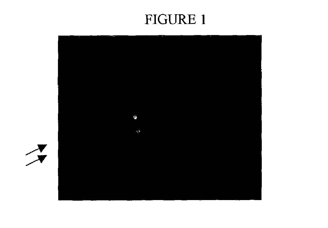 Methods and compositions for the preparation and use of fixed-treated cell-lines and tissue in fluorescence in situ hybridization