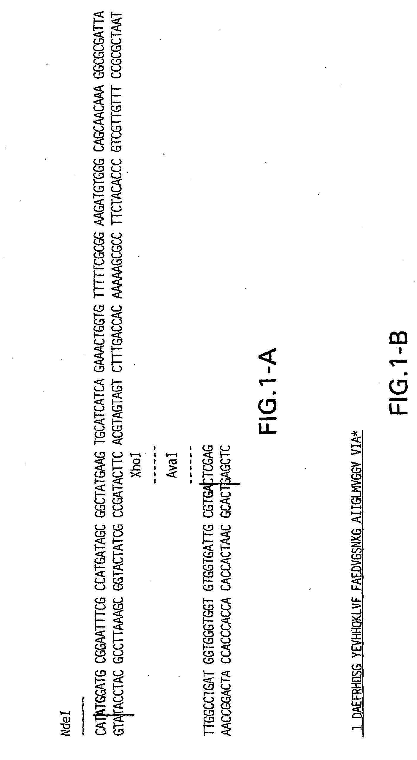 Methods of preparation of recombinant forms of human beta-amyloid protein and uses of these proteins