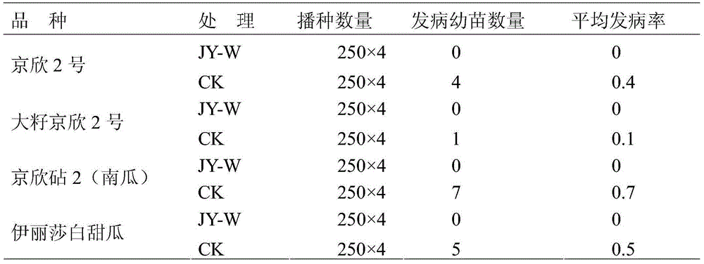 Seed processing agent for preventing cucurbit bacterial fruit blotch