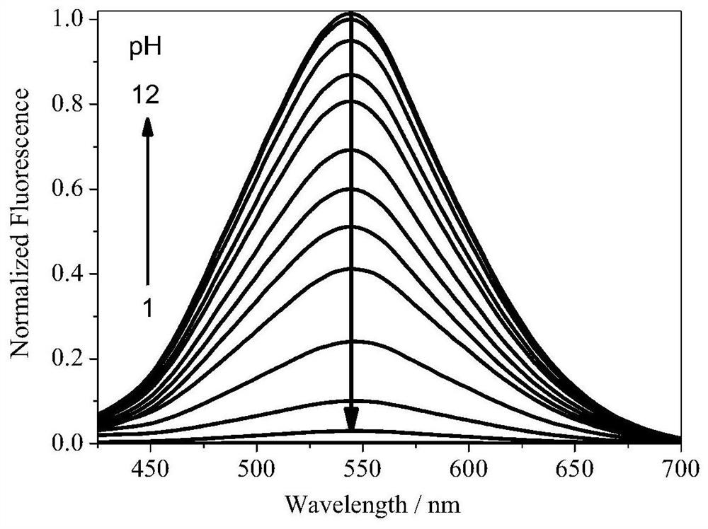 Preparation method of a two-photon fluorescent pH probe and its application in cell imaging