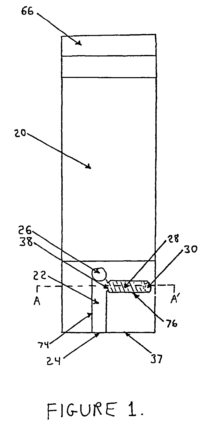 Immunosensor