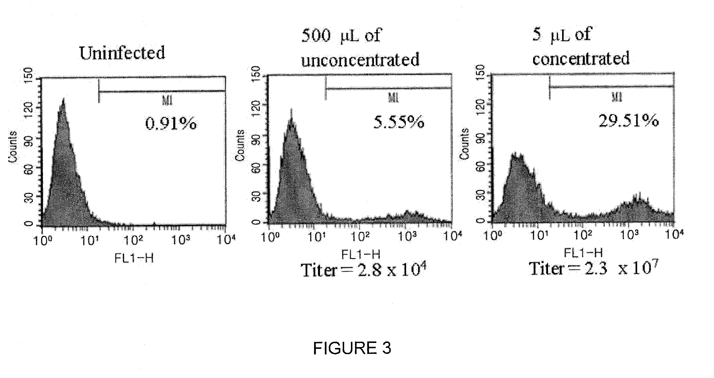 Recombinant expression vector system for variants of coagulation factor VIII and von Willebrand factor