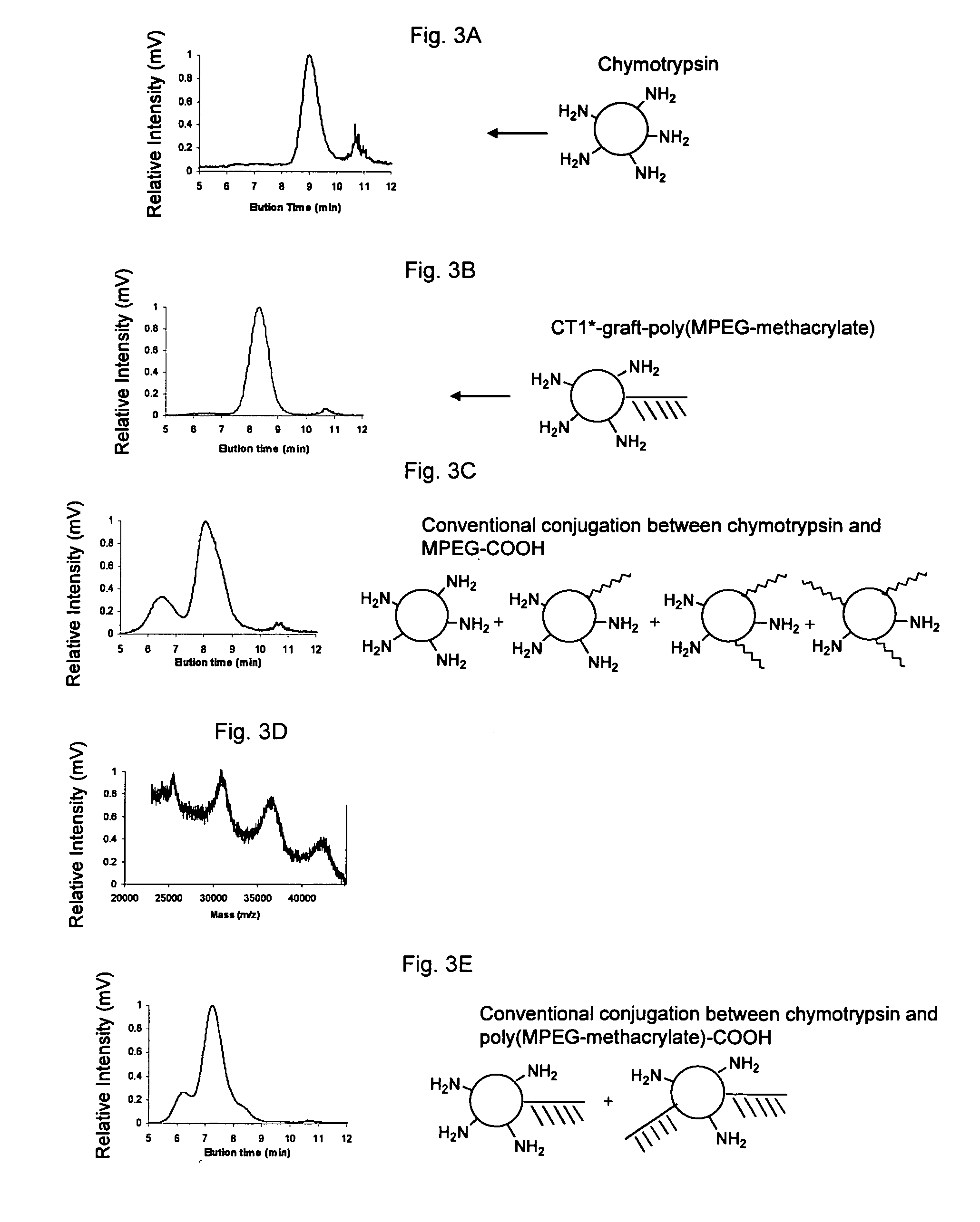 Protein-polymer conjugates and synthesis thereof