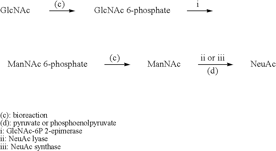 Process for producing cmp-n-acetylneuraminic acid