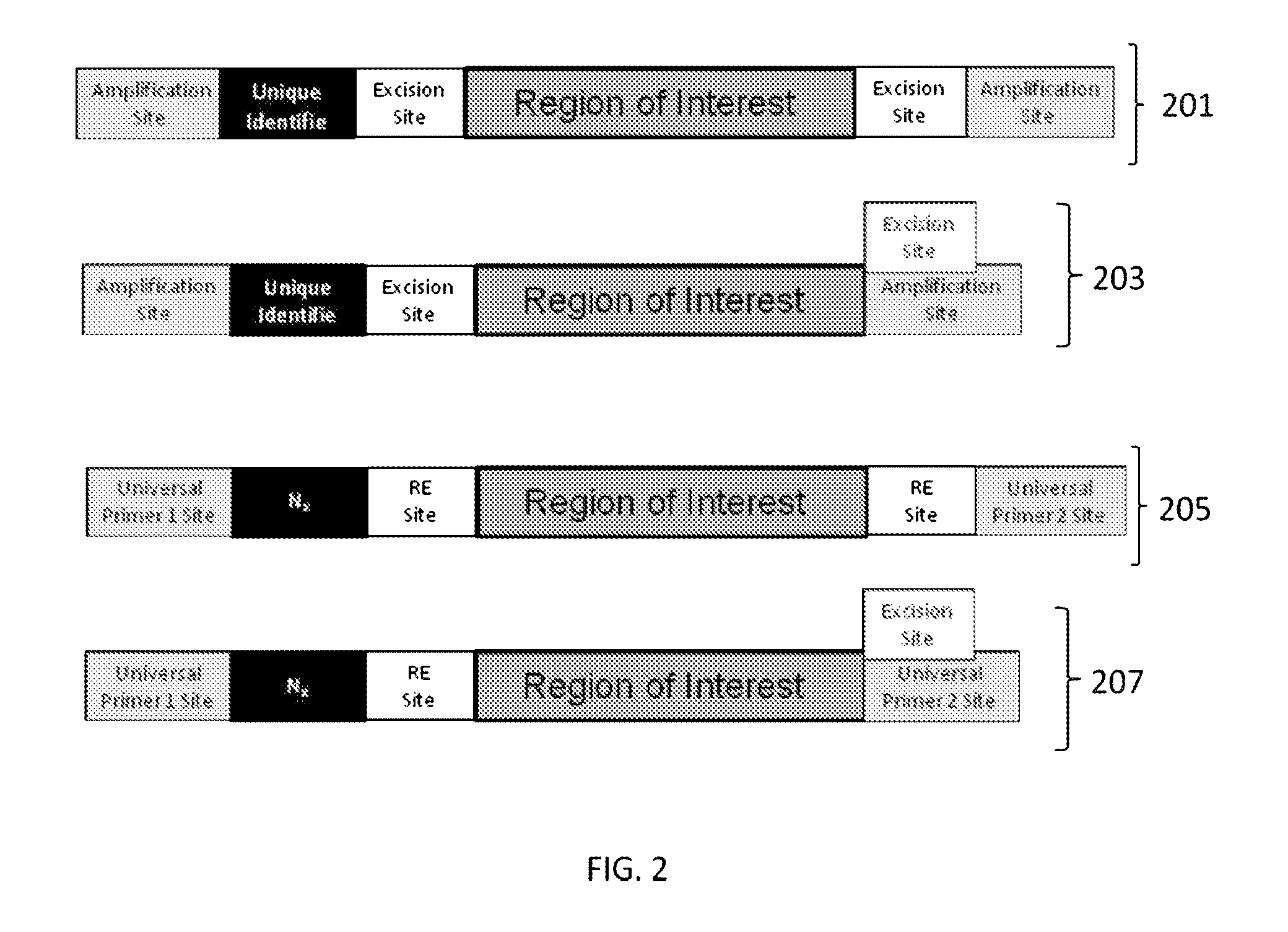 Nucleic acid constructs and methods of use