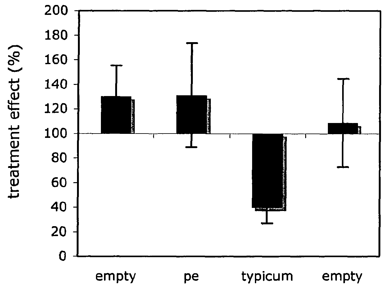 Plant volatiles based on R-curcumene