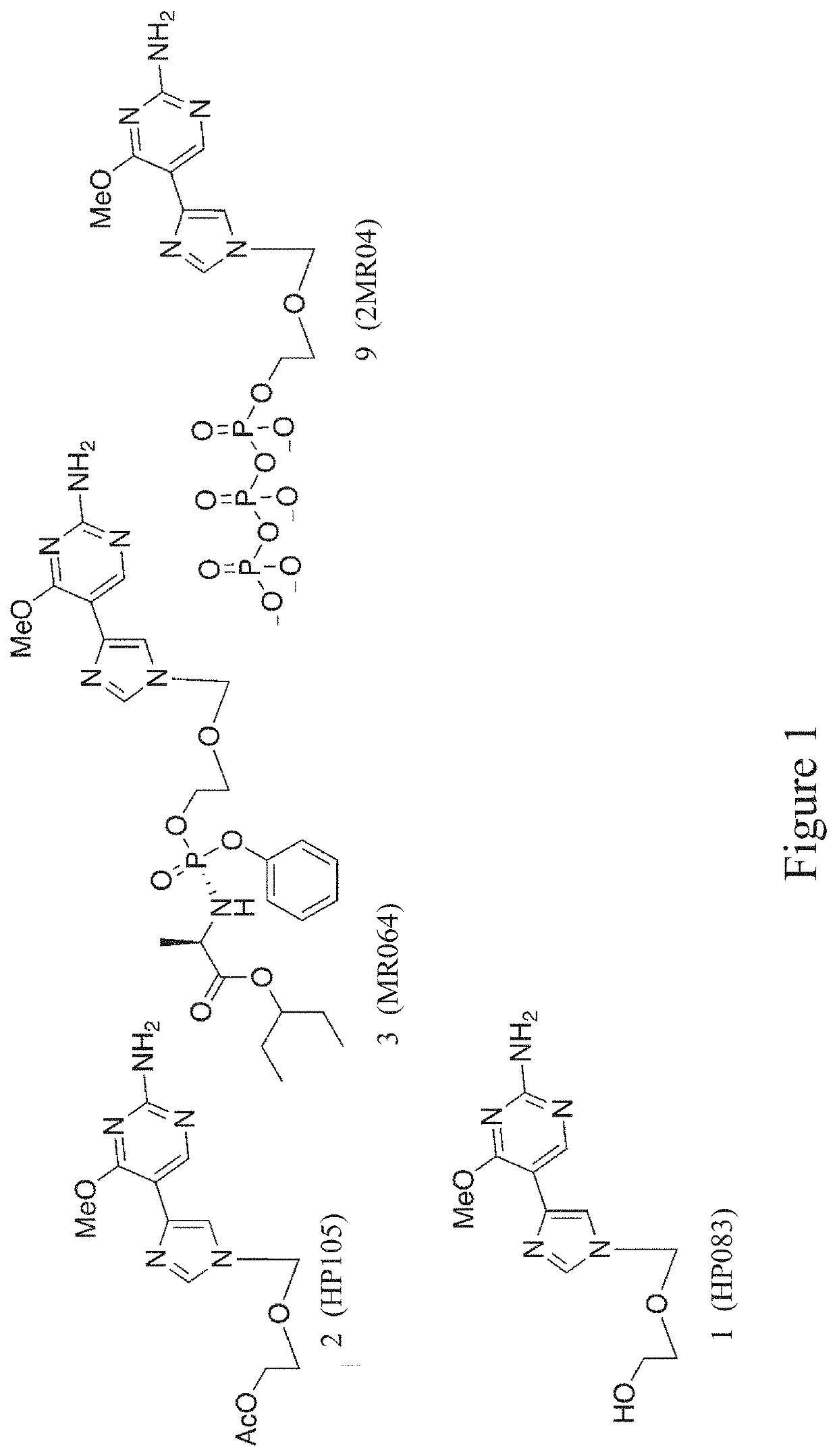 Flex-nucleoside analogues, novel therapeutics against filoviruses and flaviviruses