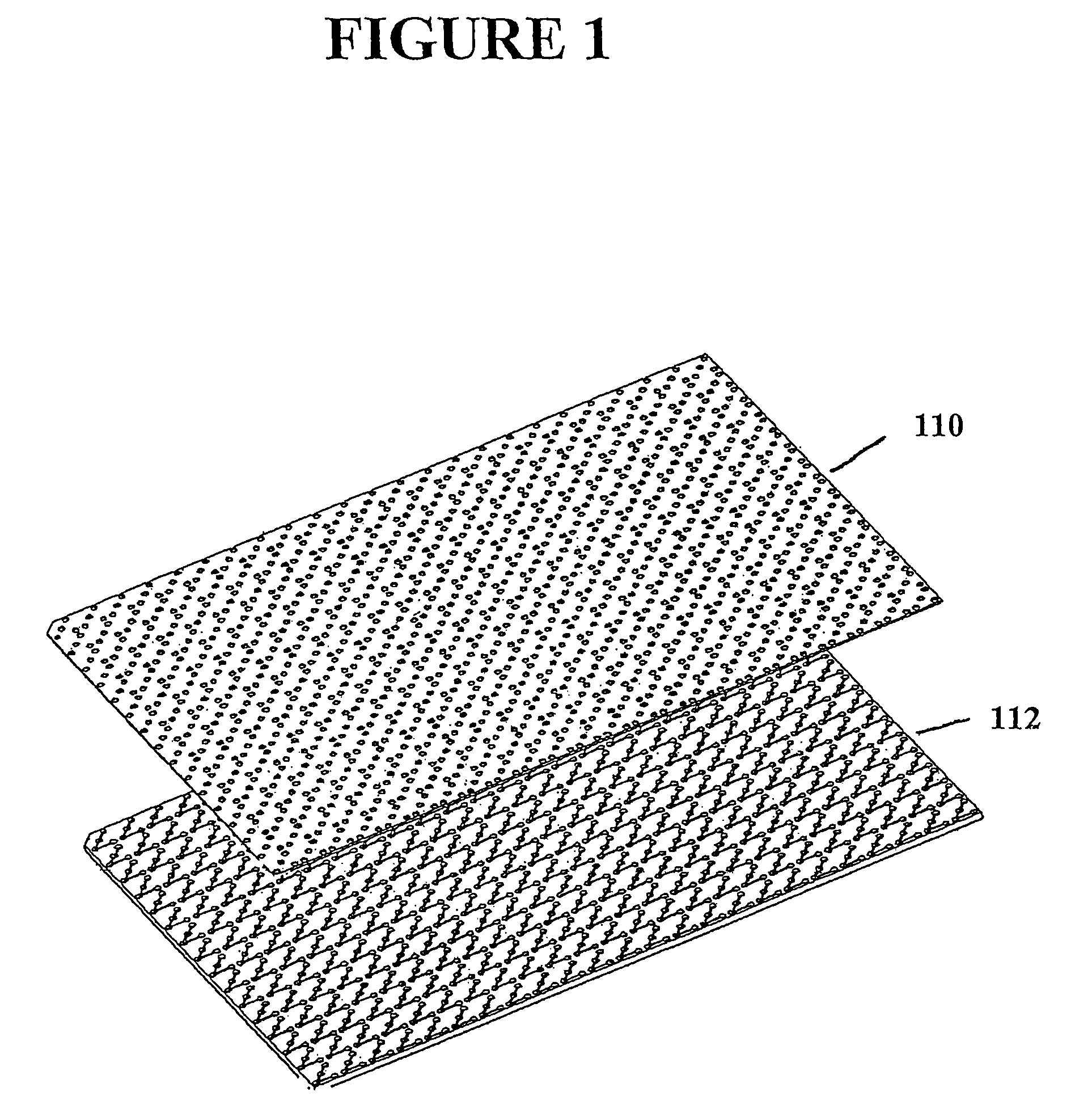 Microstructure apparatus and method for separating differently charged molecules using an applied electric field
