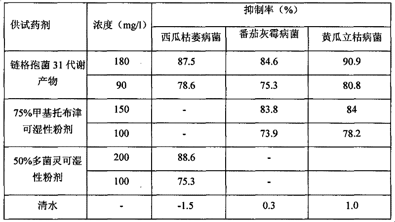 Application of alternaria alternate metabolic products in cucumber rhizoctonia solani prevention and control