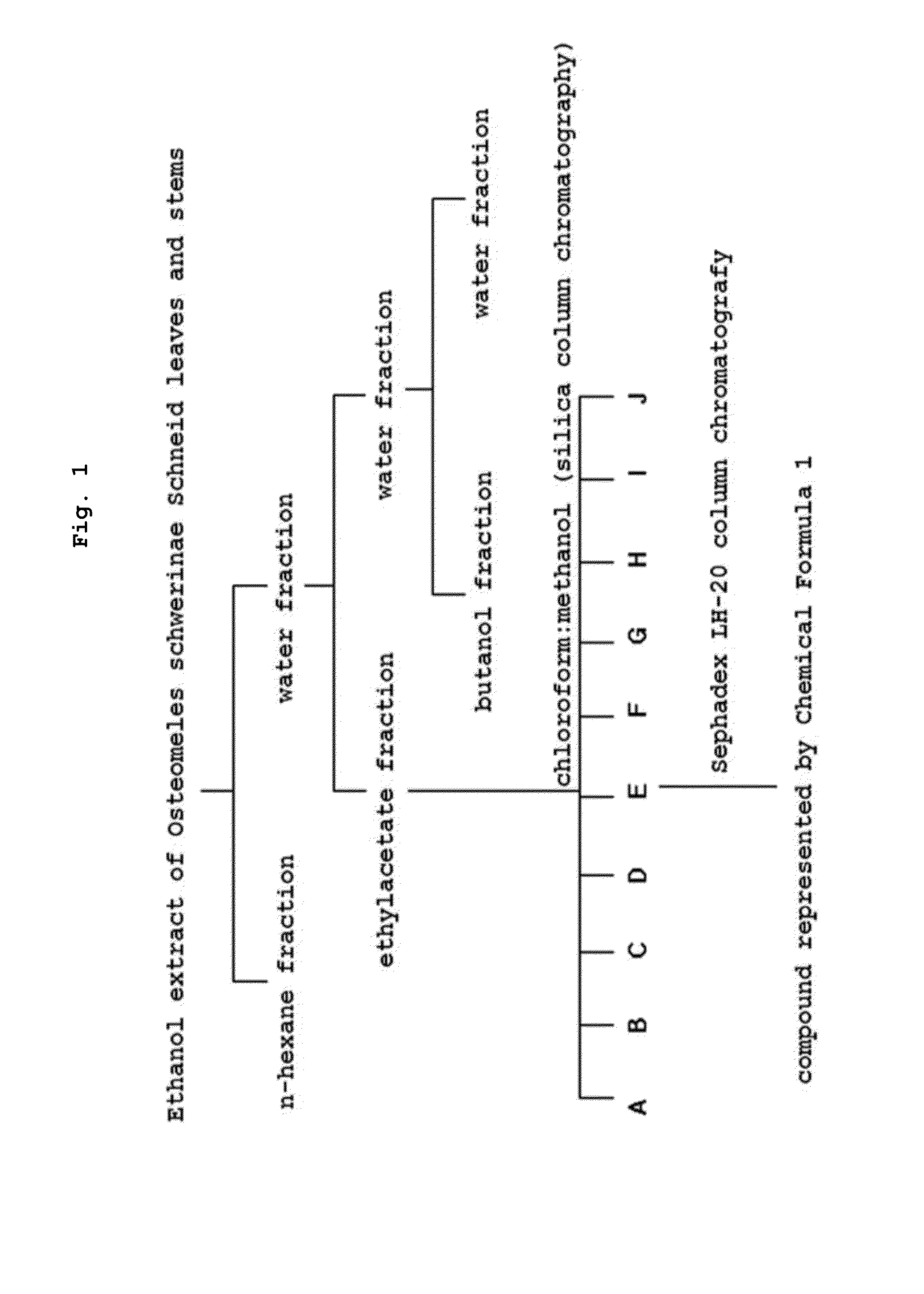 Biphenyl compound or pharmaceutically acceptable salt thereof, method for preparing novel biphenyl compound or pharmaceutically acceptable salt thereof, and pharmaceutical composition containing same as active ingredient for preventing or treating diabetes complications