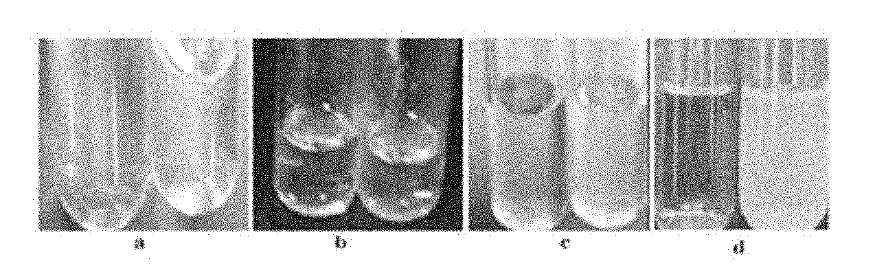 Agent and method for rapid onsite detection of melamine