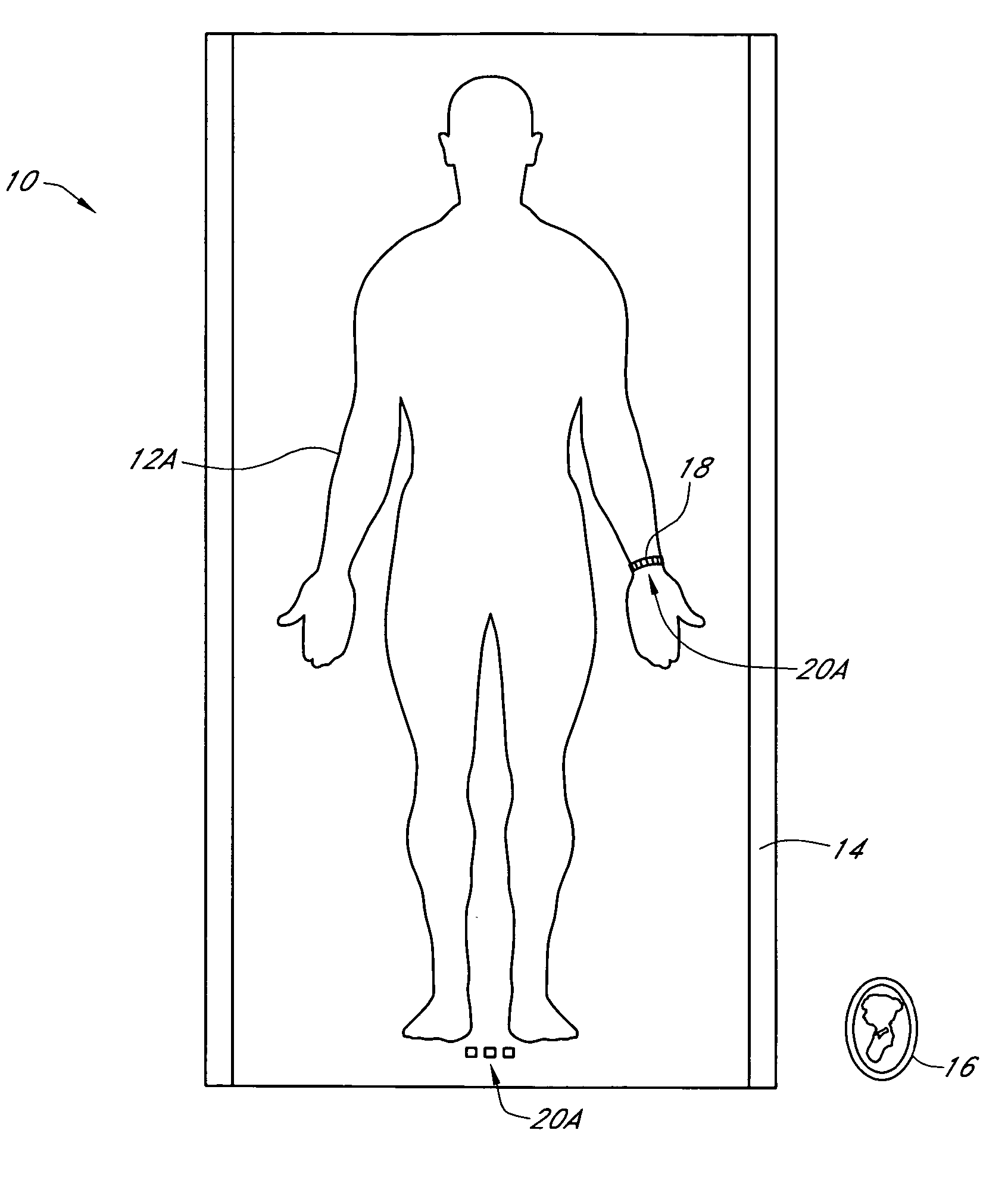 Synthetic biometric article and method for use of same