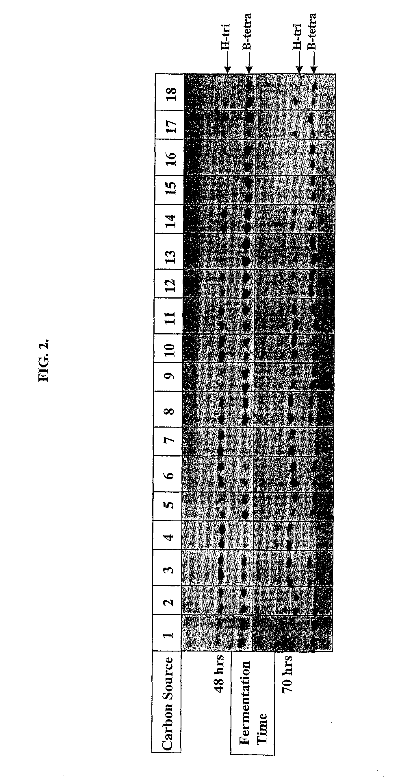 Method of preparing non-human tissues for xenotransplantation using α-galactosidase