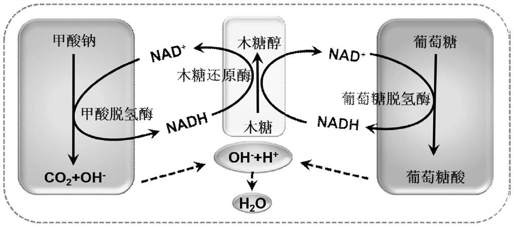 A kind of method utilizing ph self-balancing catalytic system to prepare xylitol