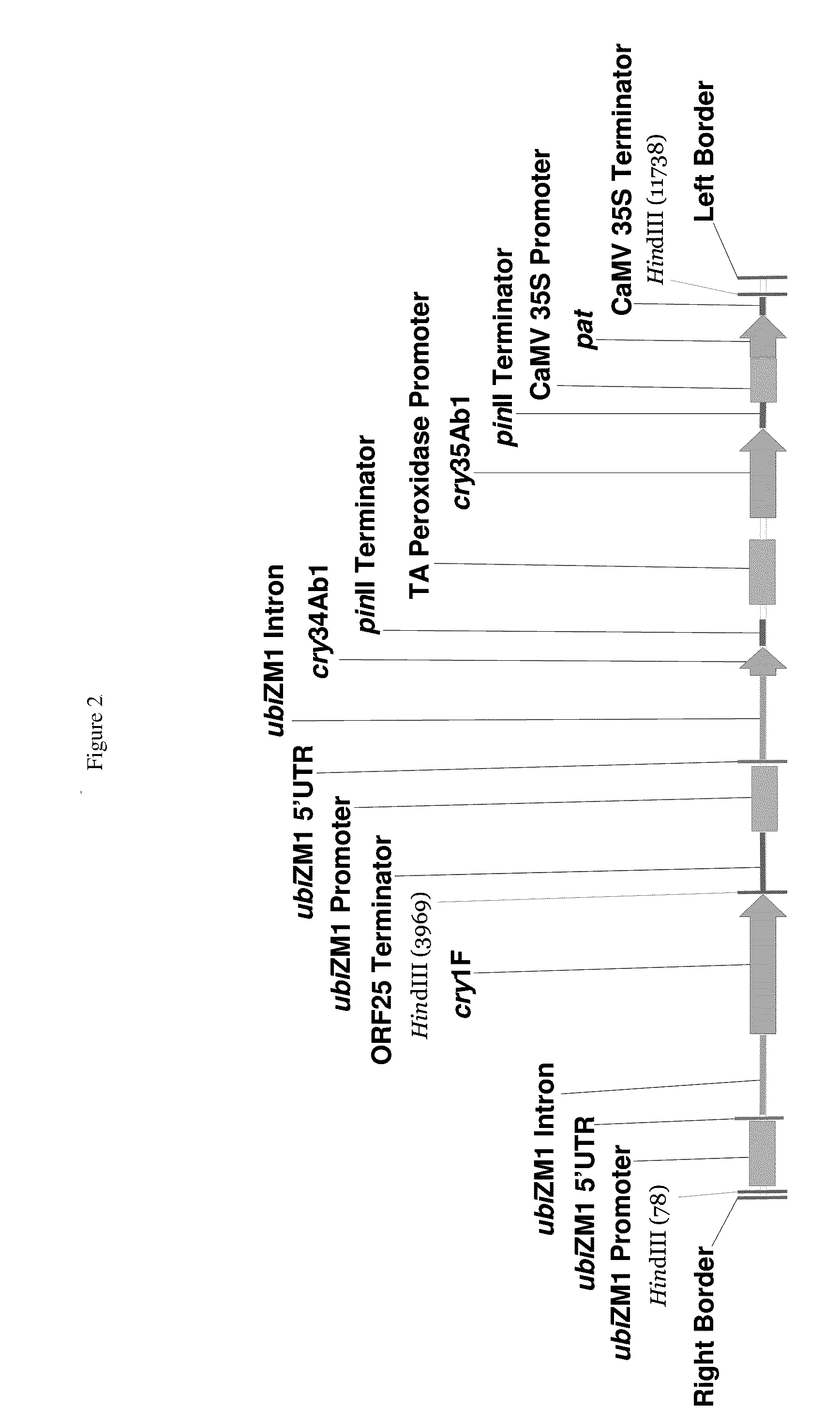 Maize event DP-004114-3 and methods for detection thereof