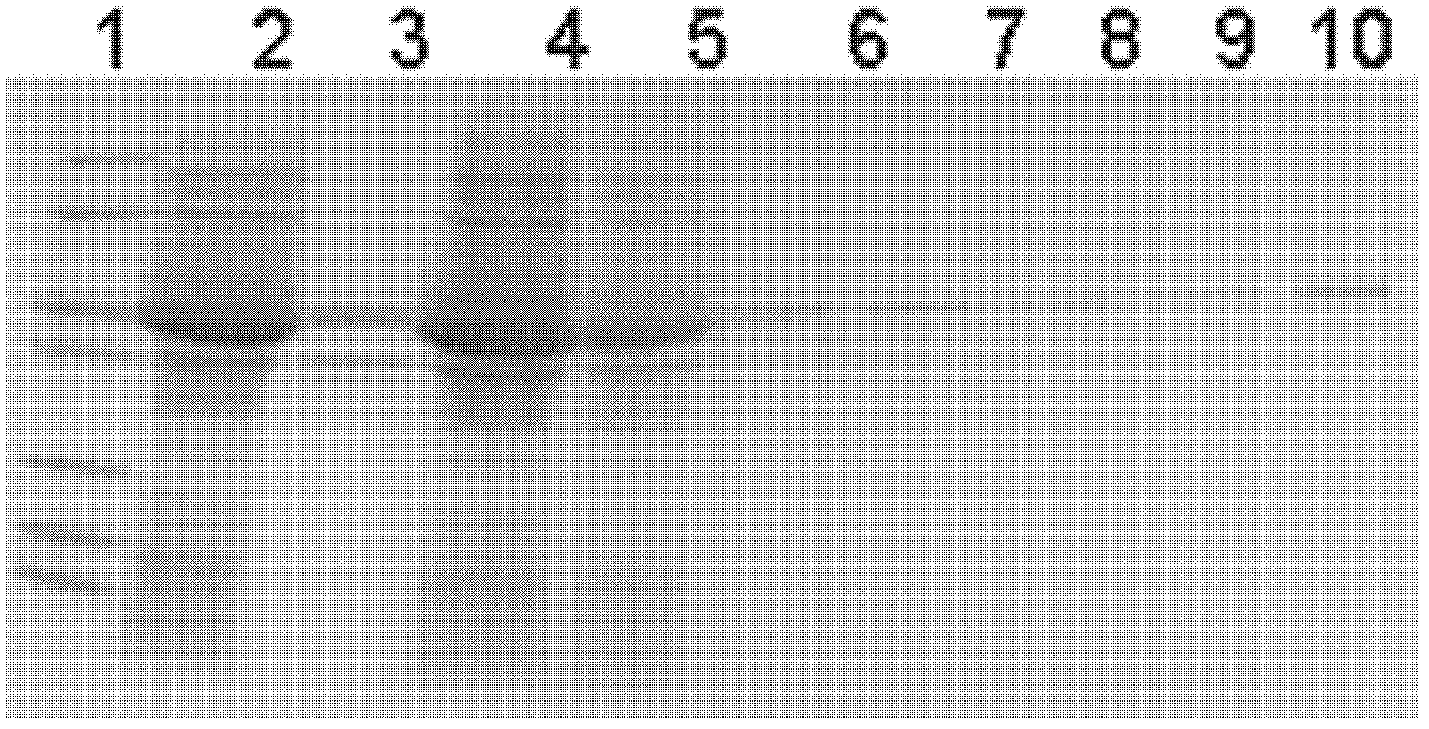 Ubiquitin ligase gene participating in symbiotic nodulation of leguminous plants, and application thereof