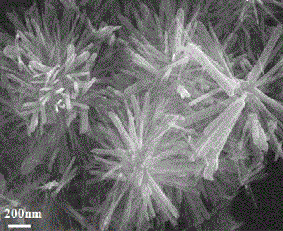 A kind of hierarchical structure graphene cage and preparation method thereof